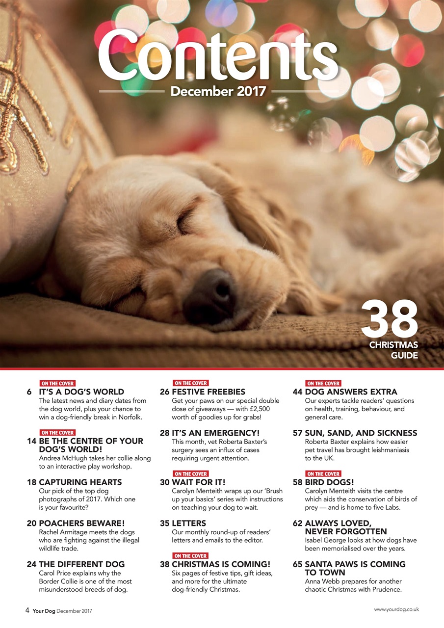 Your Dog Preview Pages