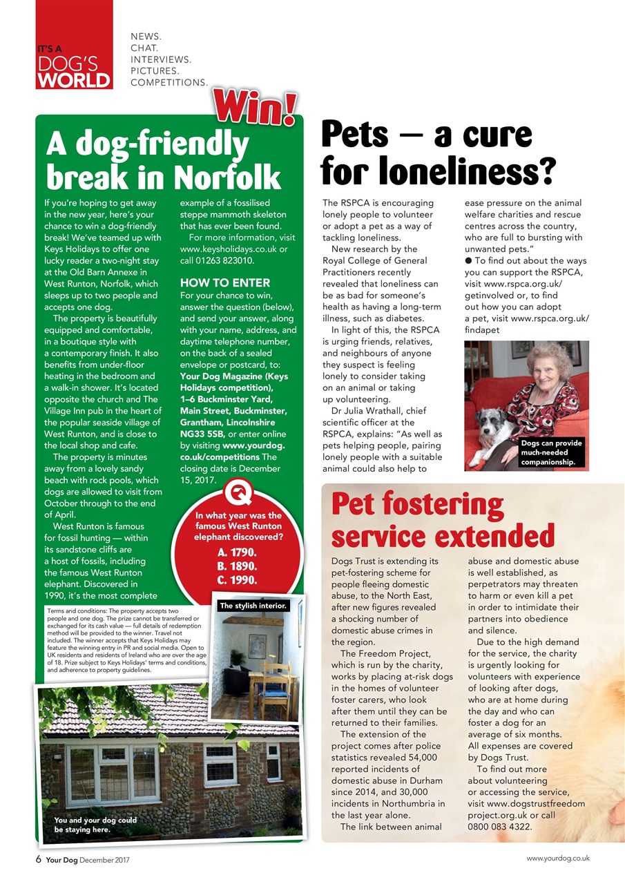 Your Dog Preview Pages