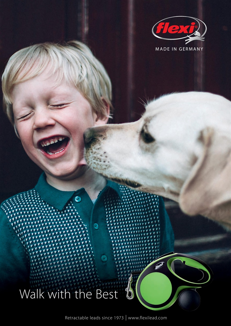 Your Dog Preview Pages