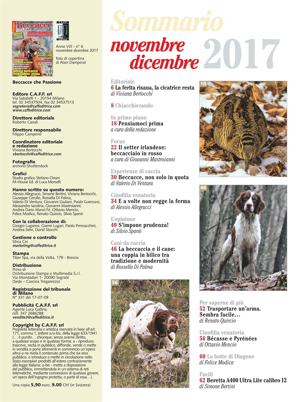 BECCACCE CHE PASSIONE Preview Pages