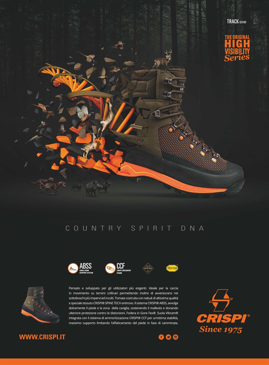 BECCACCE CHE PASSIONE Preview Pages