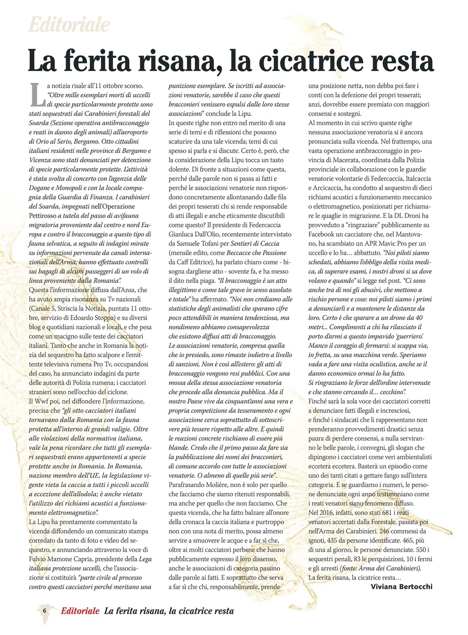 BECCACCE CHE PASSIONE Preview Pages