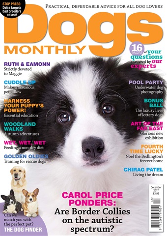 Dogs Monthly issue December 2017