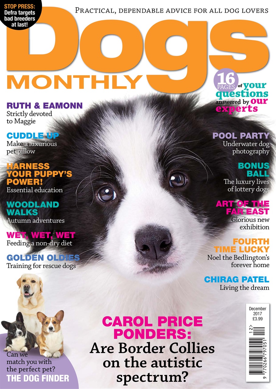 Dogs Monthly Preview Pages
