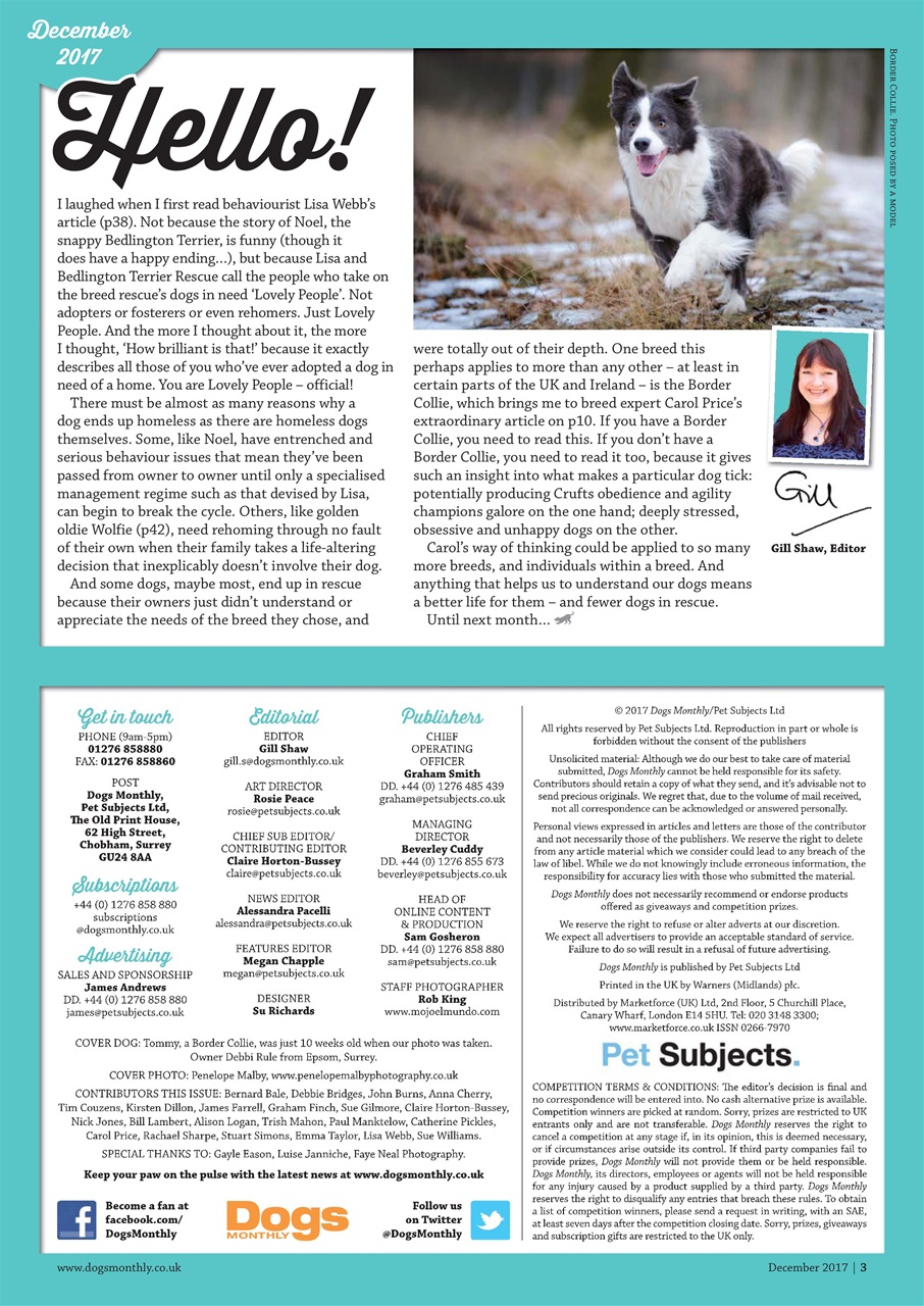Dogs Monthly Preview Pages