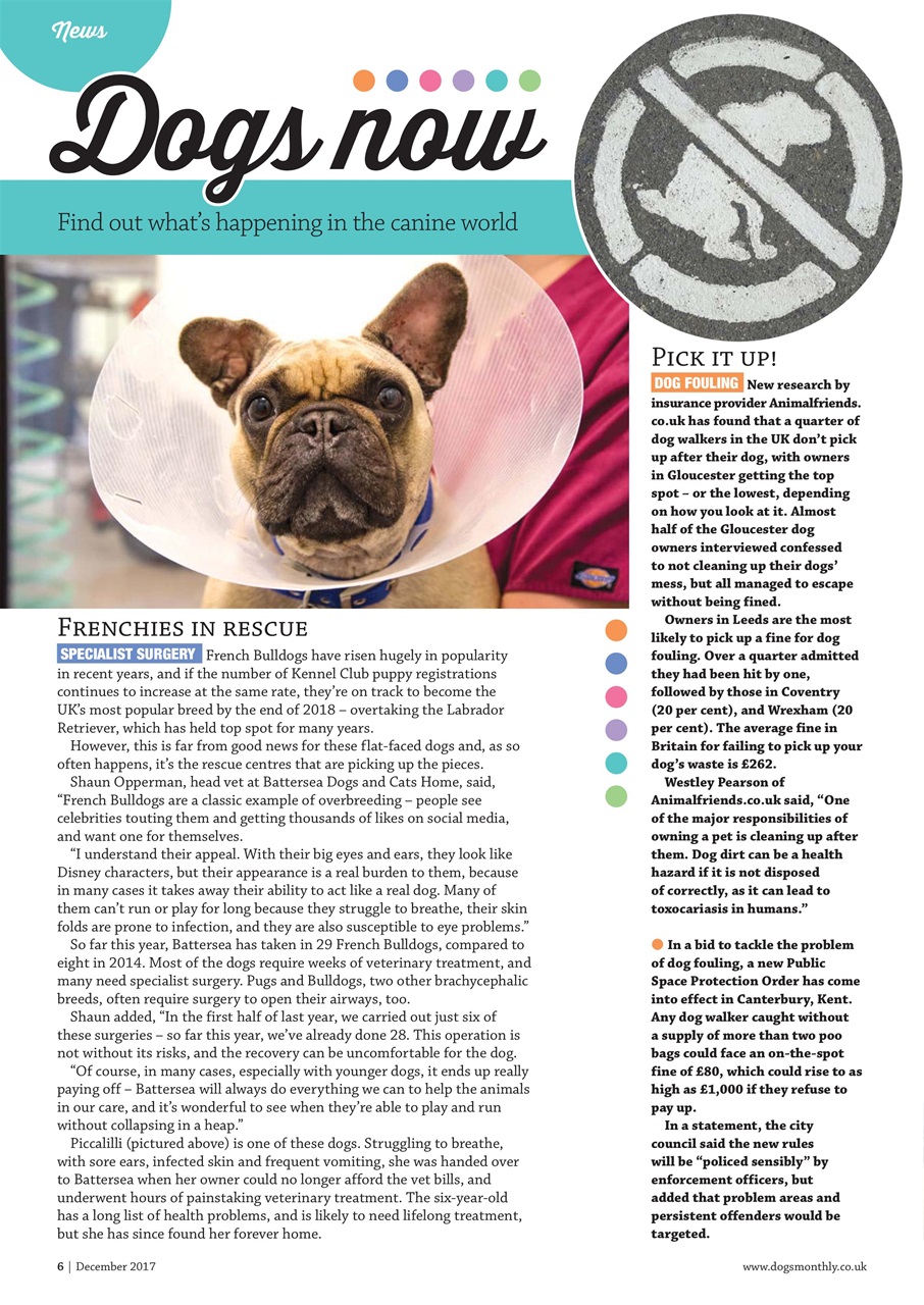 Dogs Monthly Preview Pages