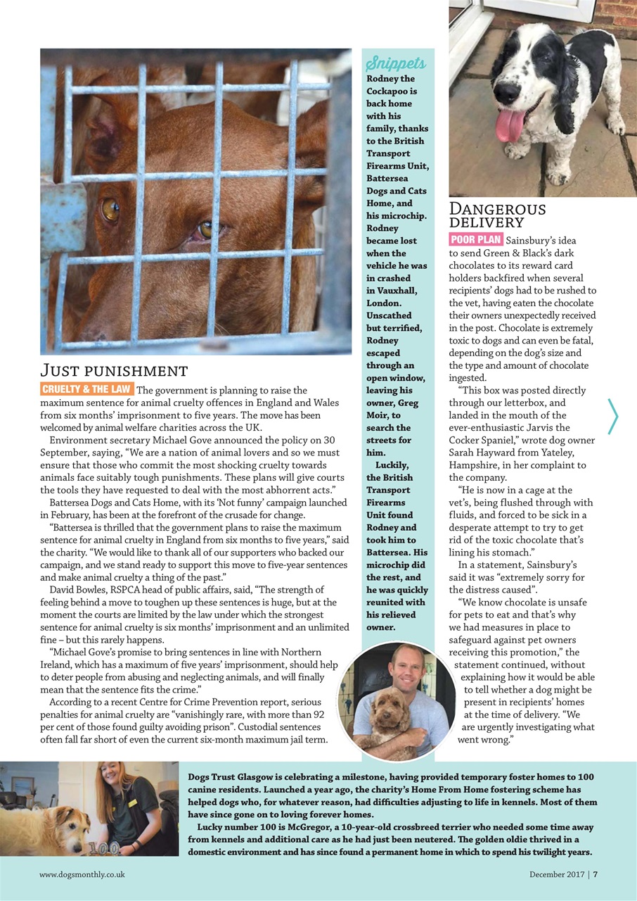 Dogs Monthly Preview Pages