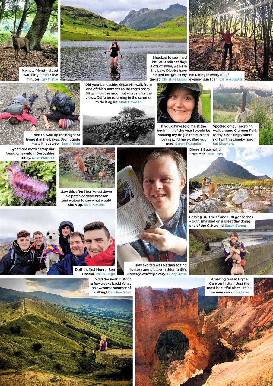 Country Walking Preview Pages
