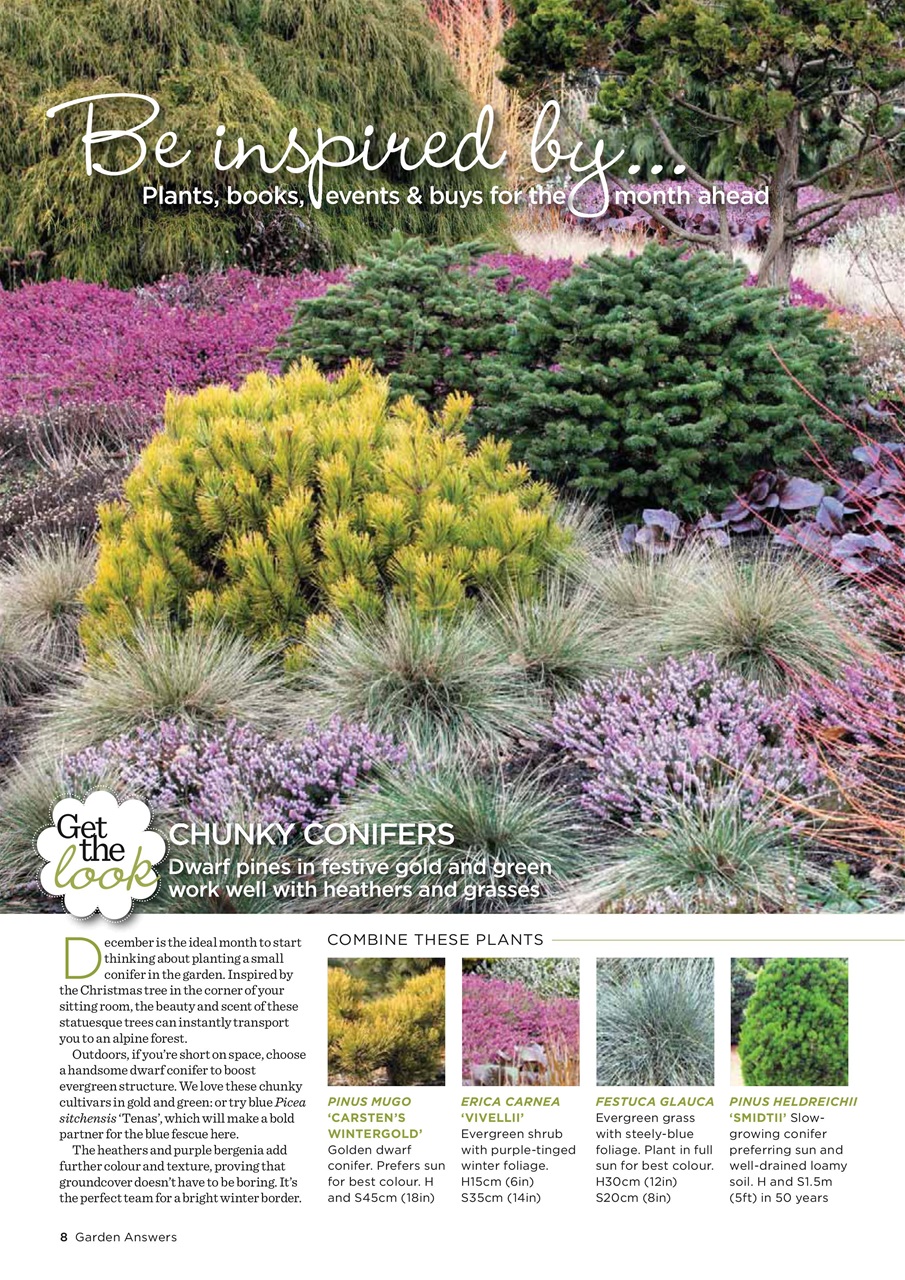 Garden Answers Preview Pages