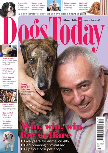 Dogs Today Magazine issue 