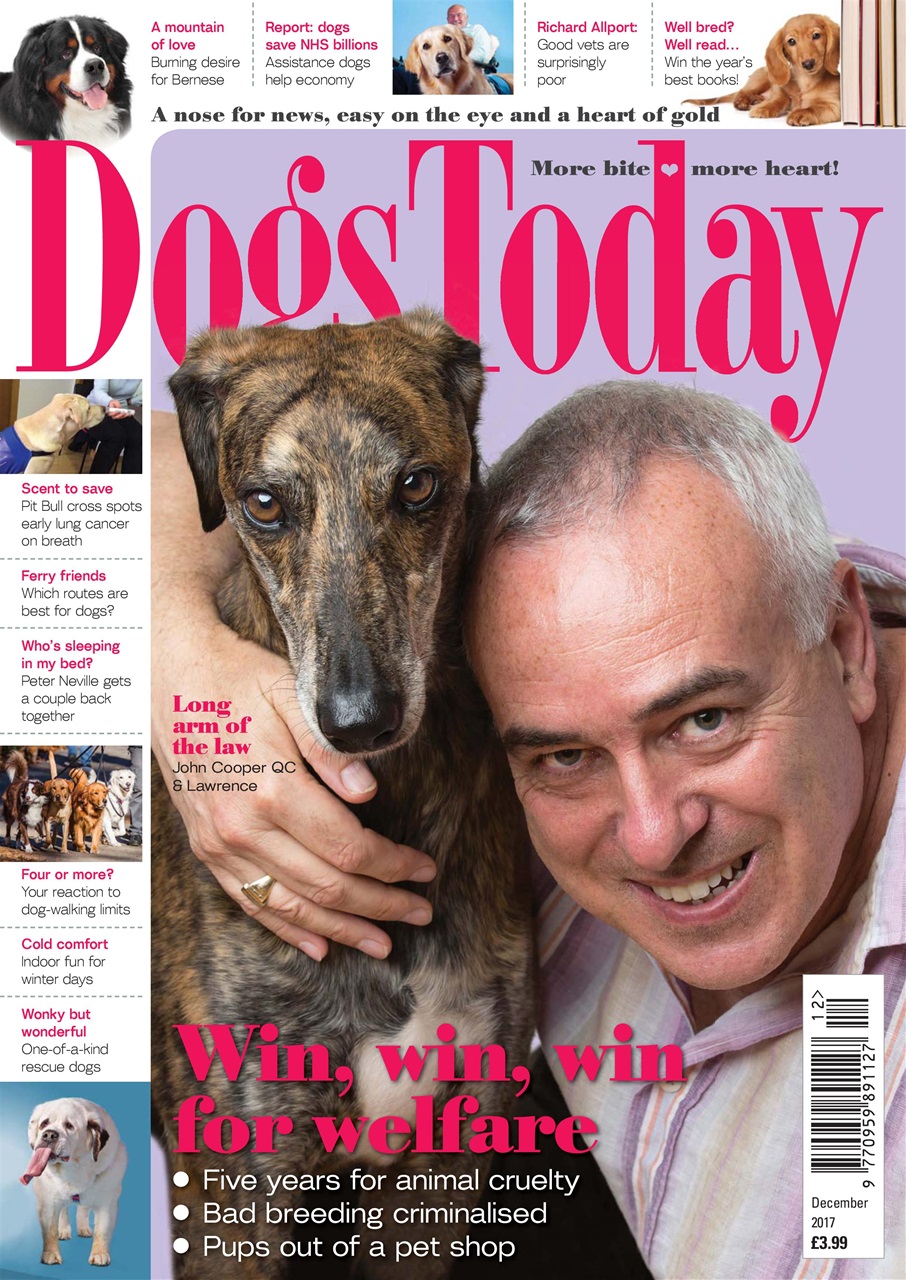 Dogs Today Magazine Preview Pages