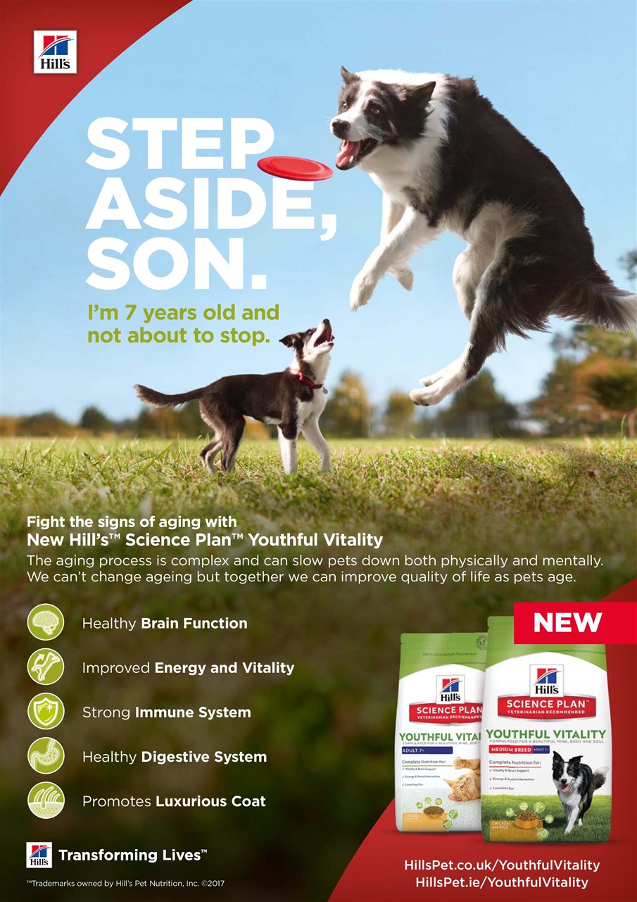 Dogs Today Magazine Preview Pages