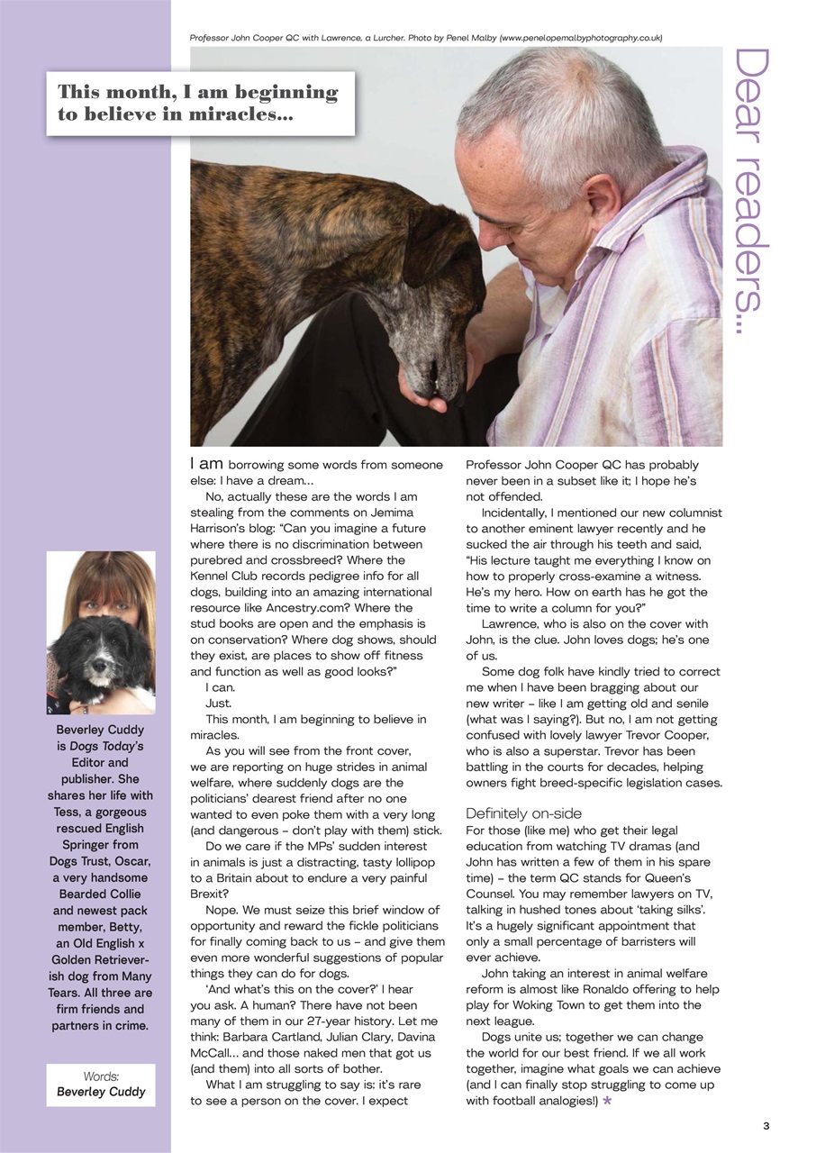 Dogs Today Magazine Preview Pages