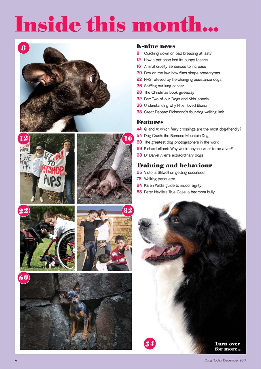 Dogs Today Magazine Preview Pages