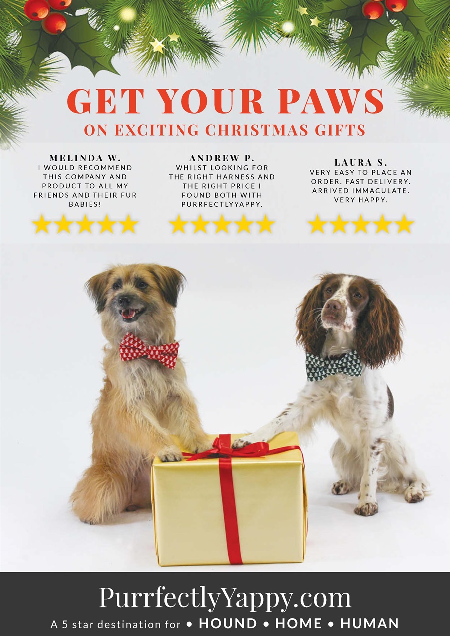 Dogs Today Magazine Preview Pages