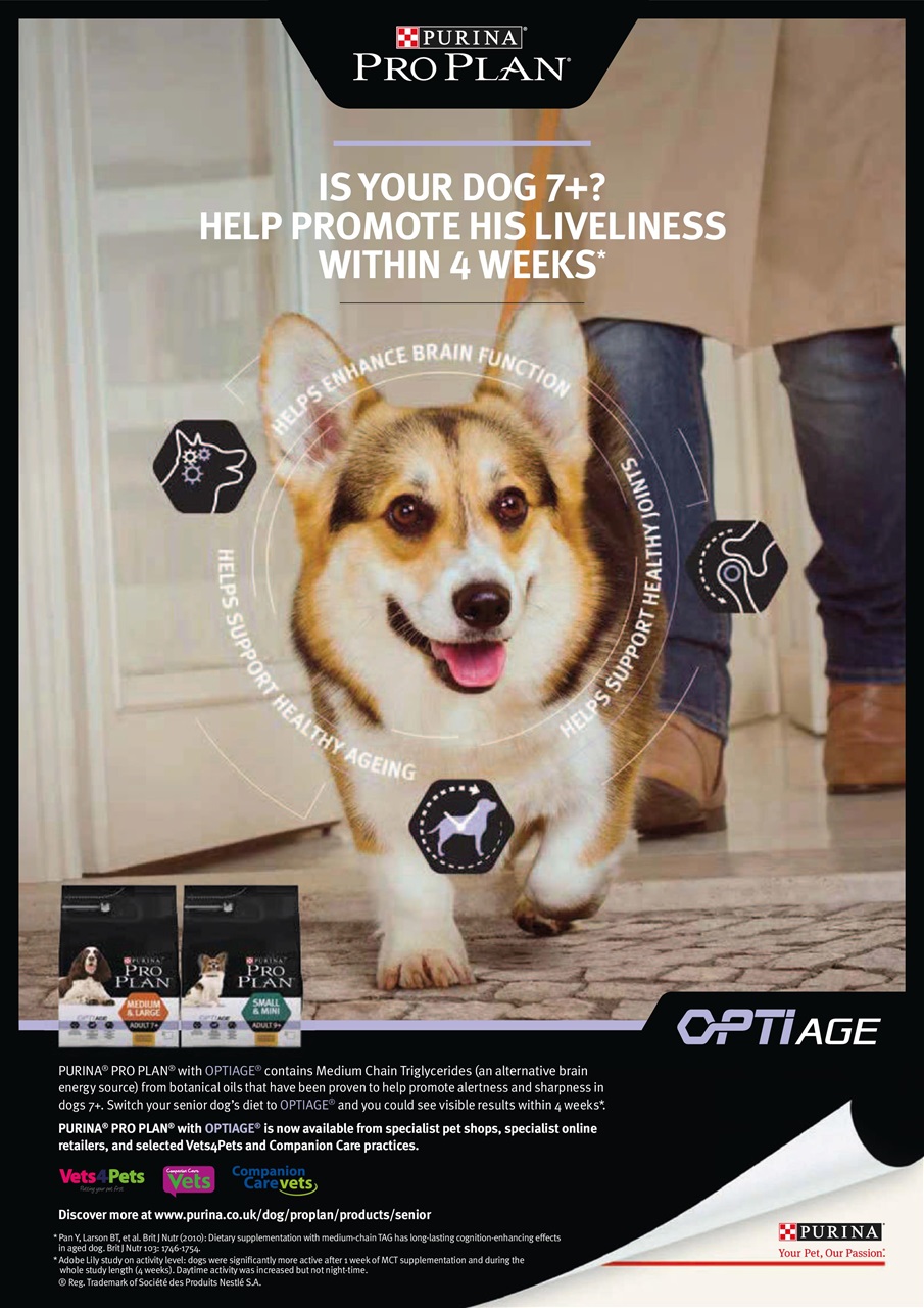 Dogs Today Magazine Preview Pages