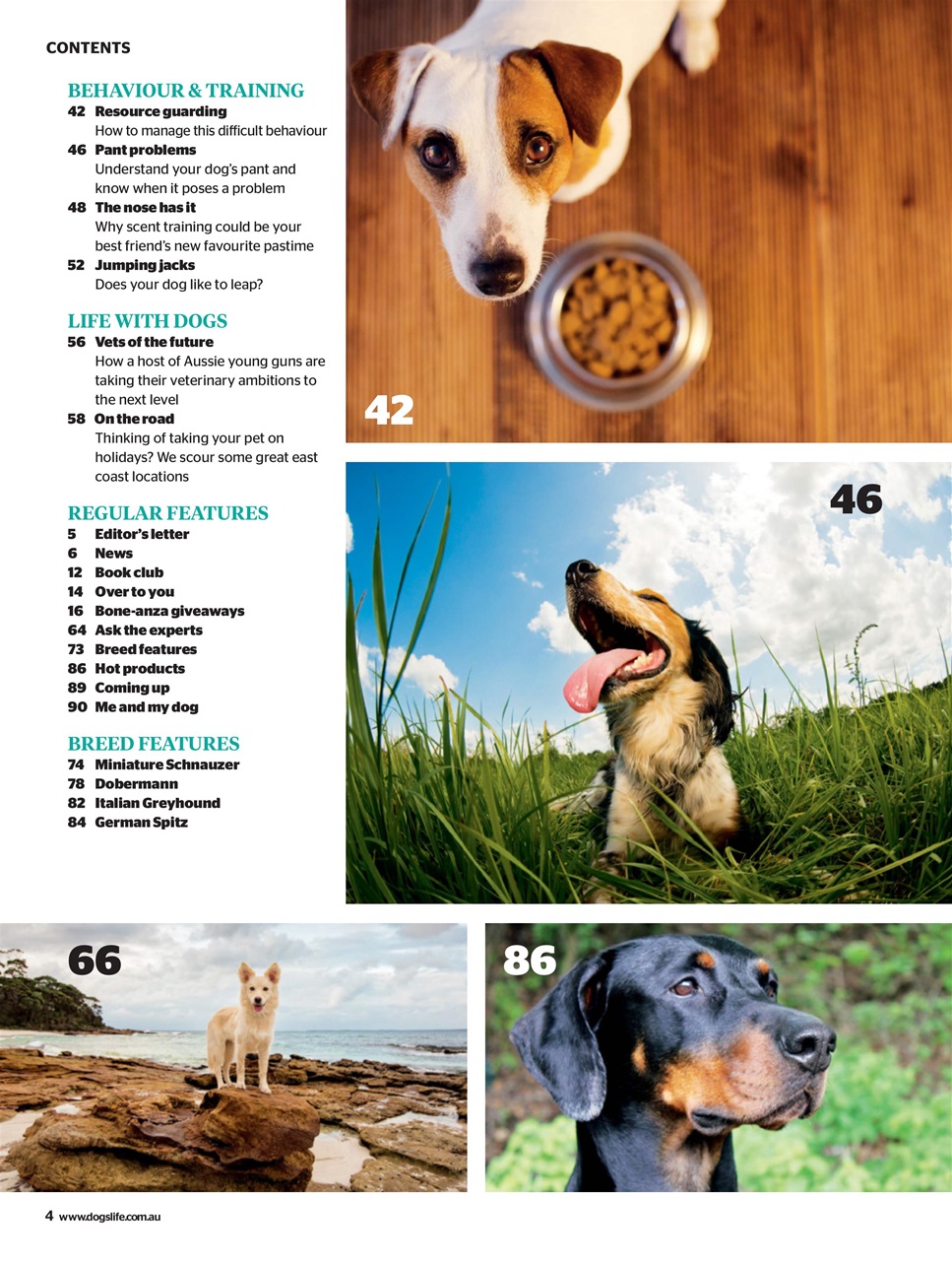 Dogs Life Preview Pages