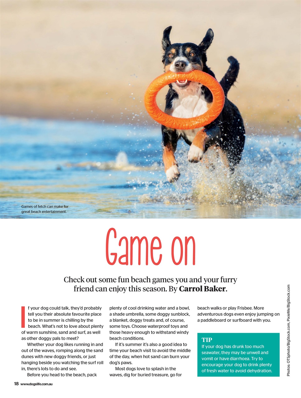 Dogs Life Preview Pages