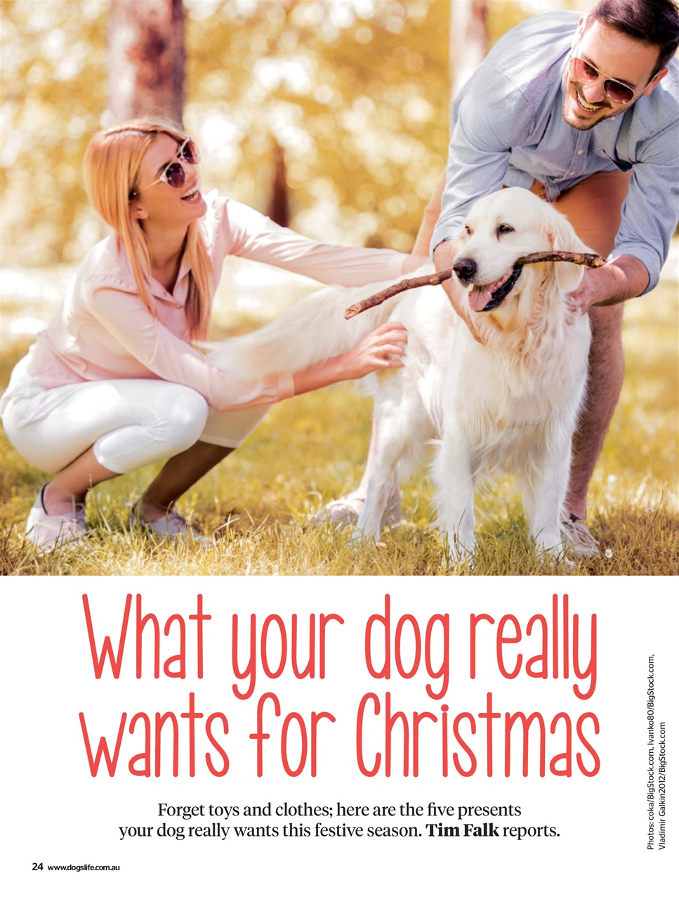 Dogs Life Preview Pages