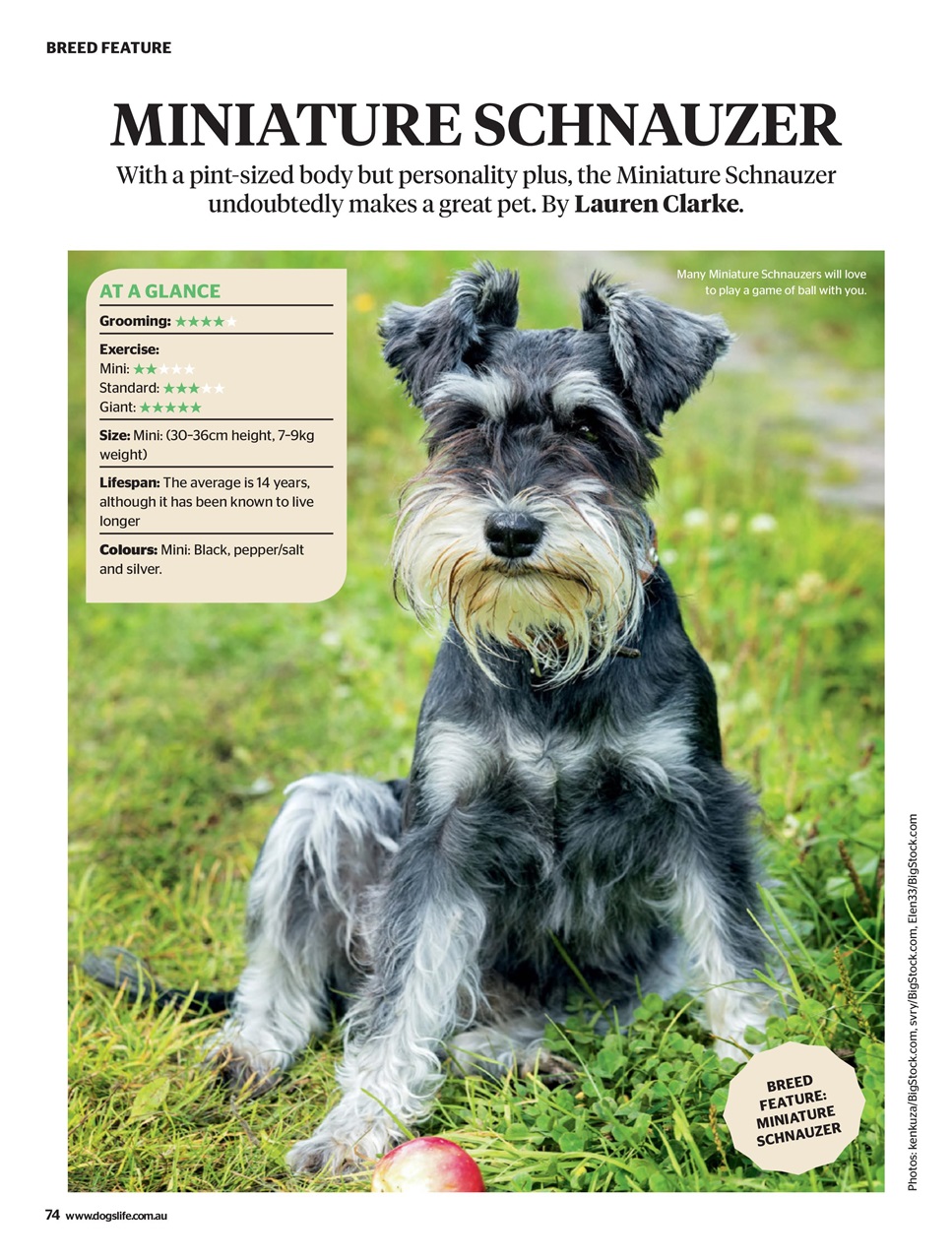 Dogs Life Preview Pages