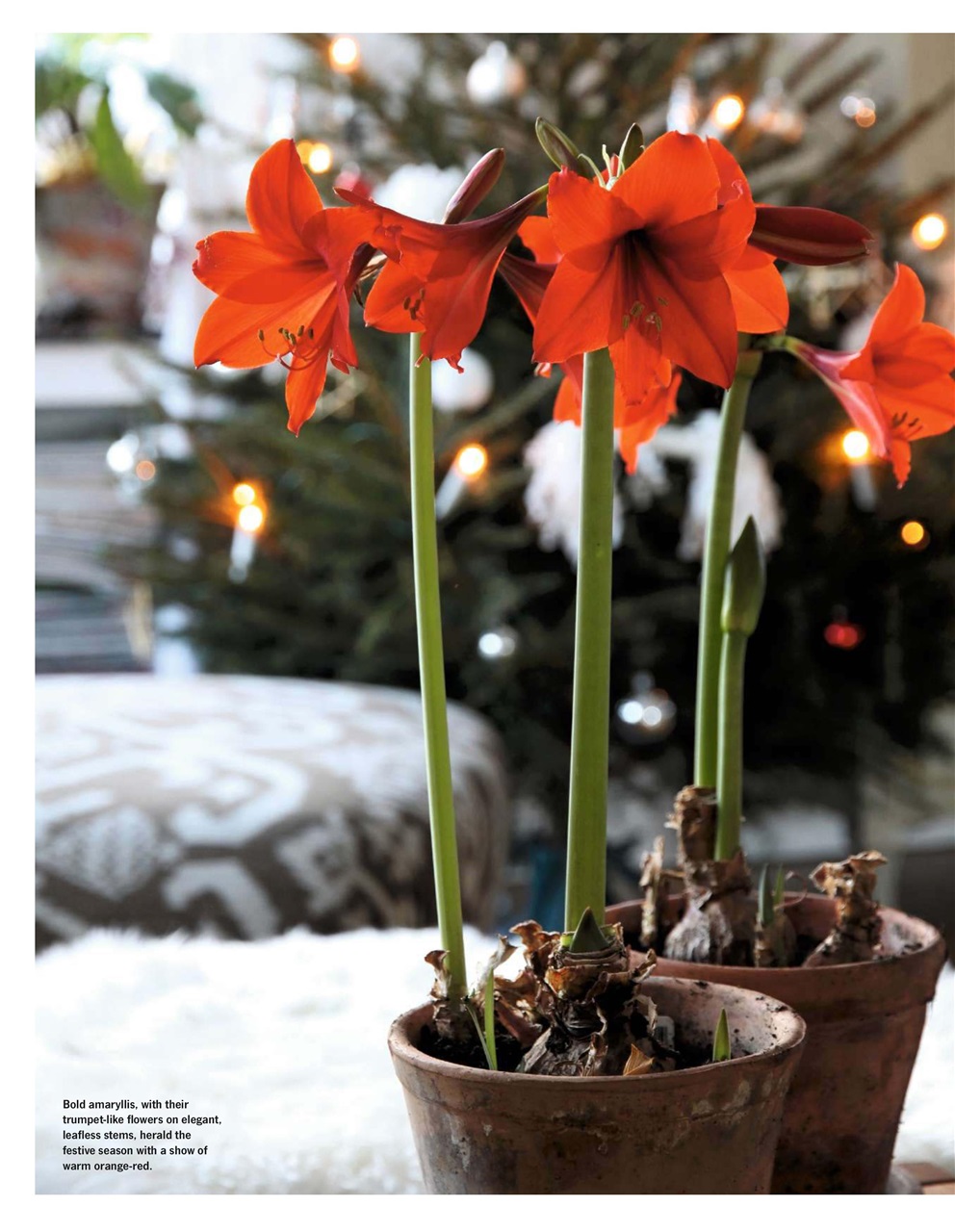 LandScape Preview Pages