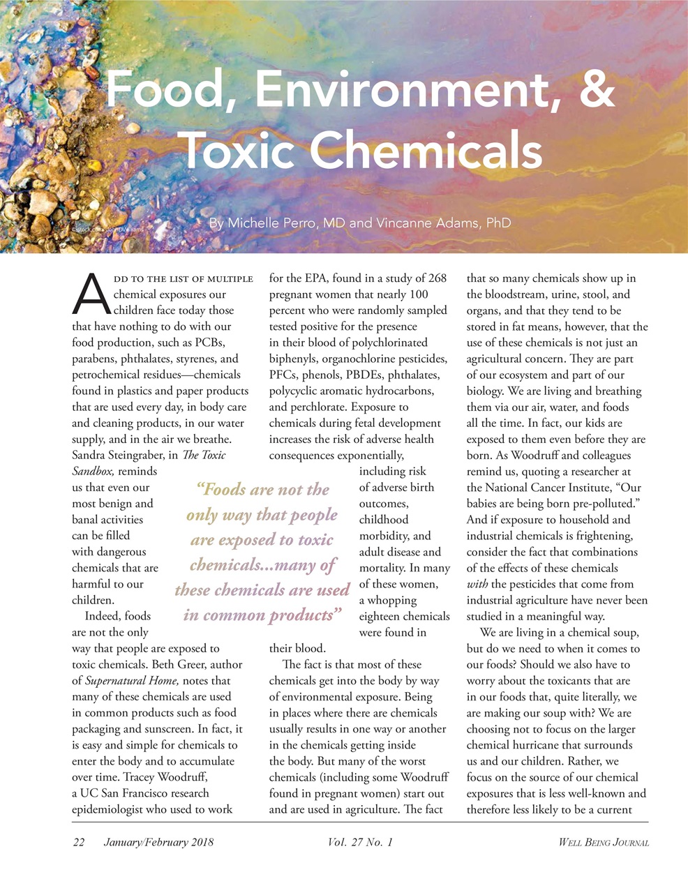 Well Being Journal Preview Pages