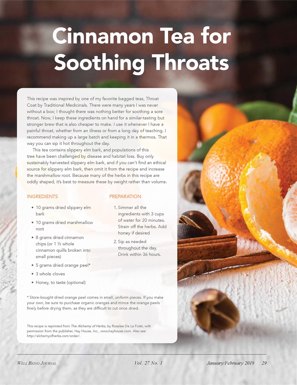 Well Being Journal Preview Pages