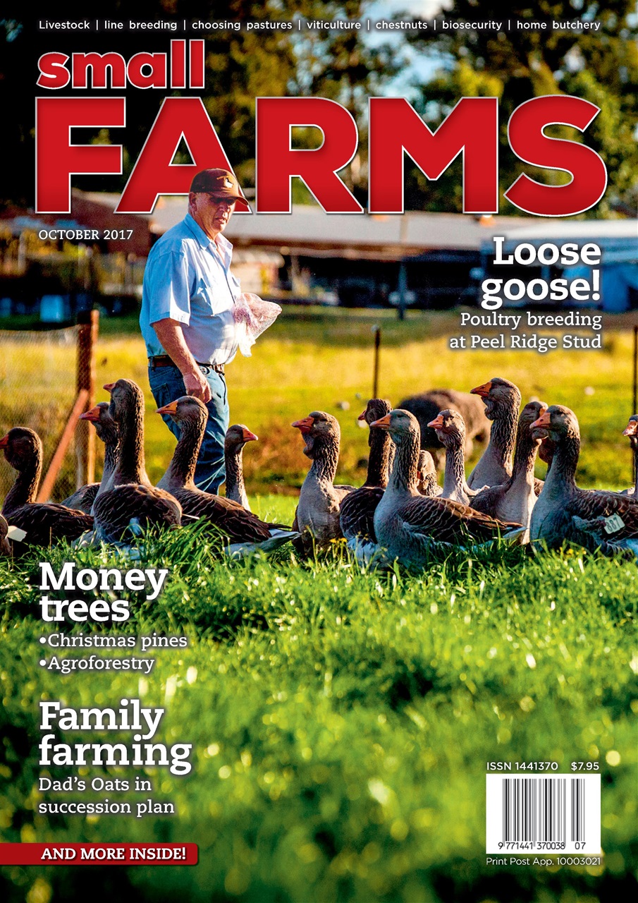 Small Farms Preview Pages