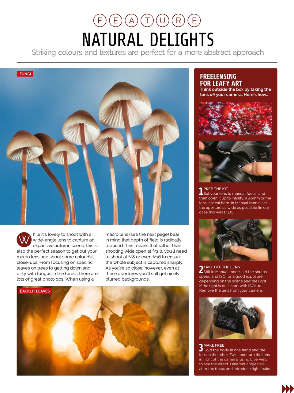 Photography Week Preview Pages