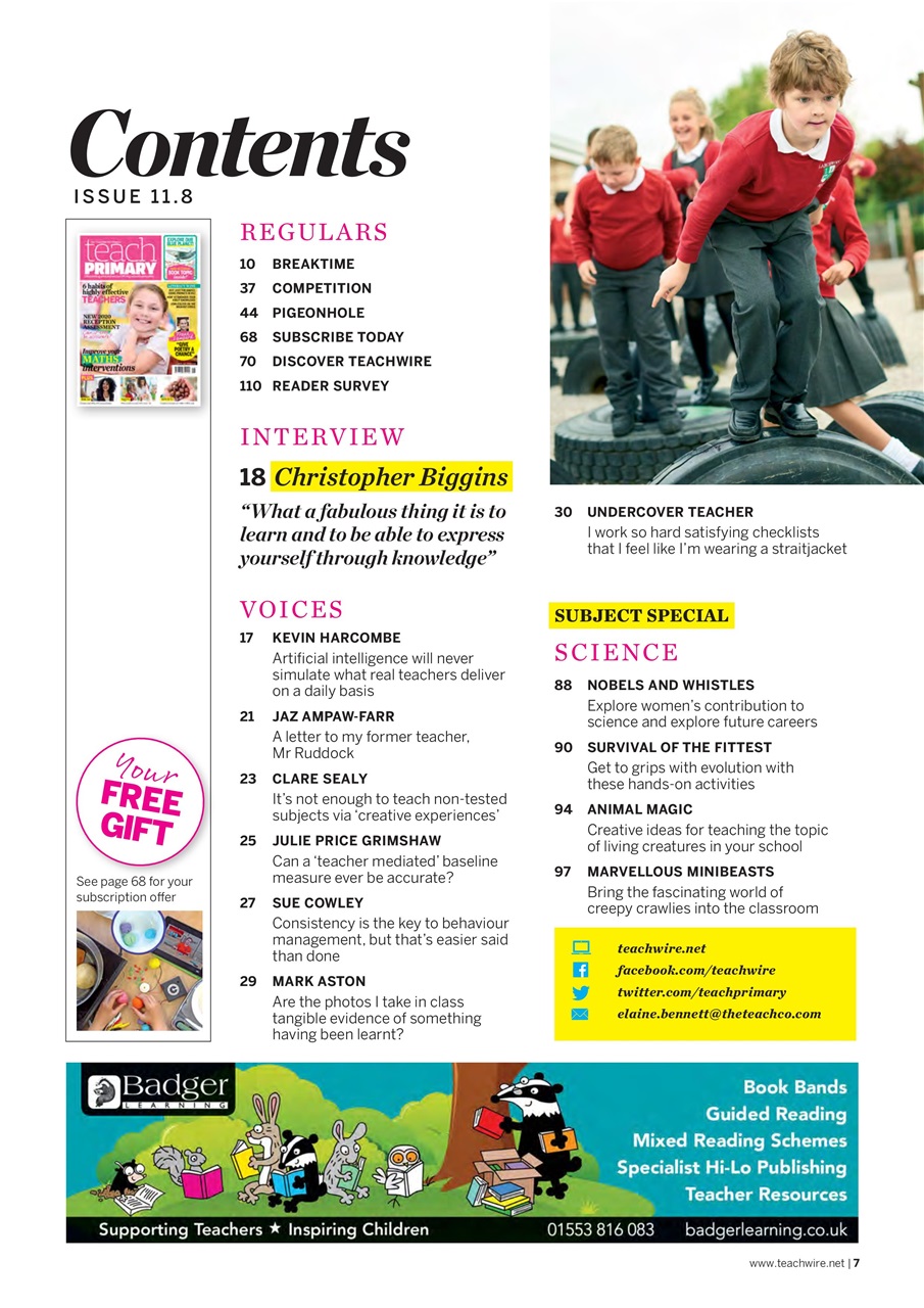 Teach Primary Preview Pages