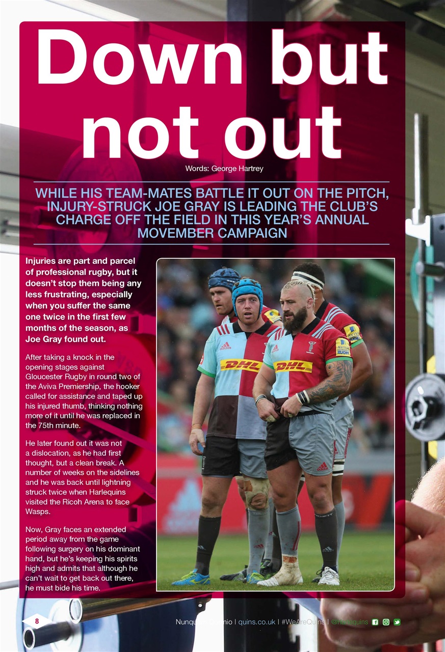 Harlequins Preview Pages
