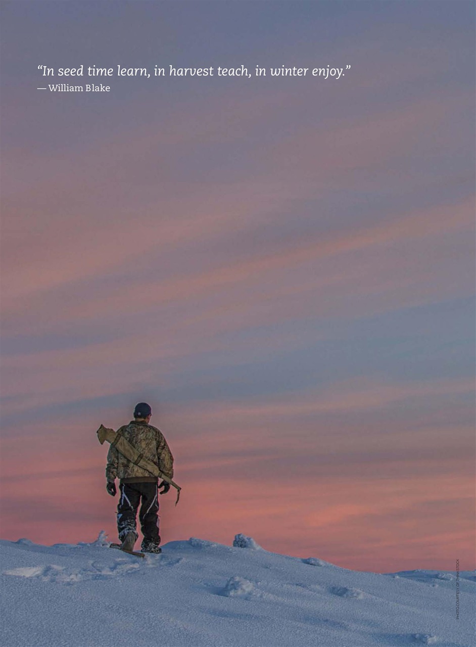 Modern Pioneer Preview Pages