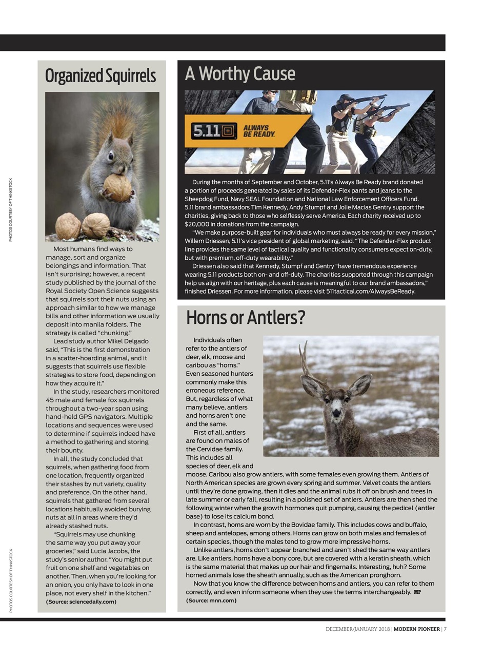 Modern Pioneer Preview Pages