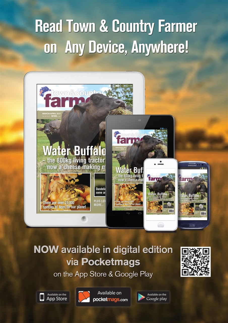 Town And Country Farmer Preview Pages