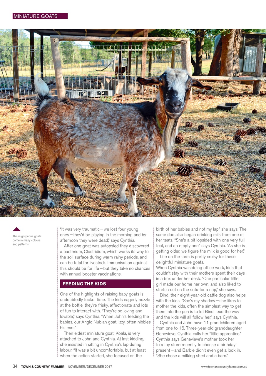 Town And Country Farmer Preview Pages