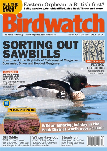 Birdwatch Magazine issue 