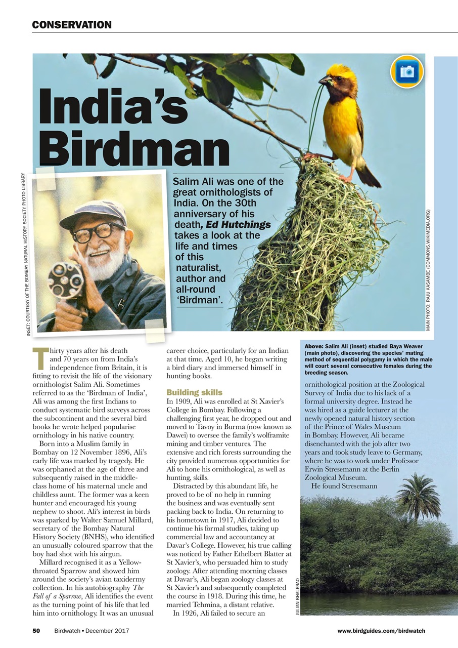 Birdwatch Magazine Preview Pages