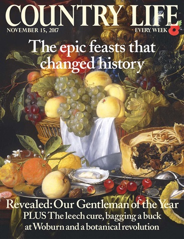 Country Life issue 15th November 2017
