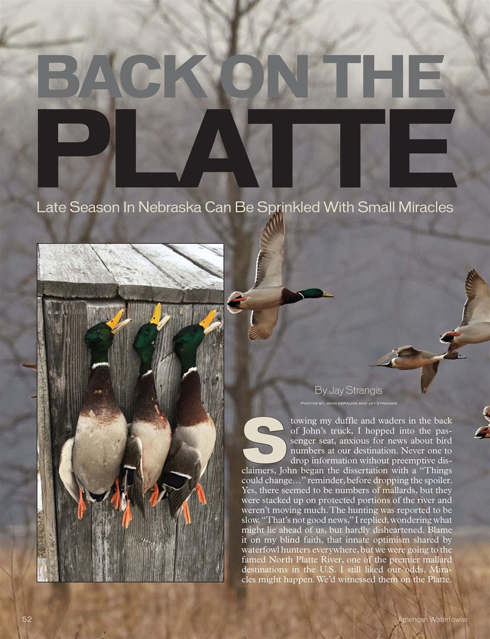 American Waterfowler Preview Pages