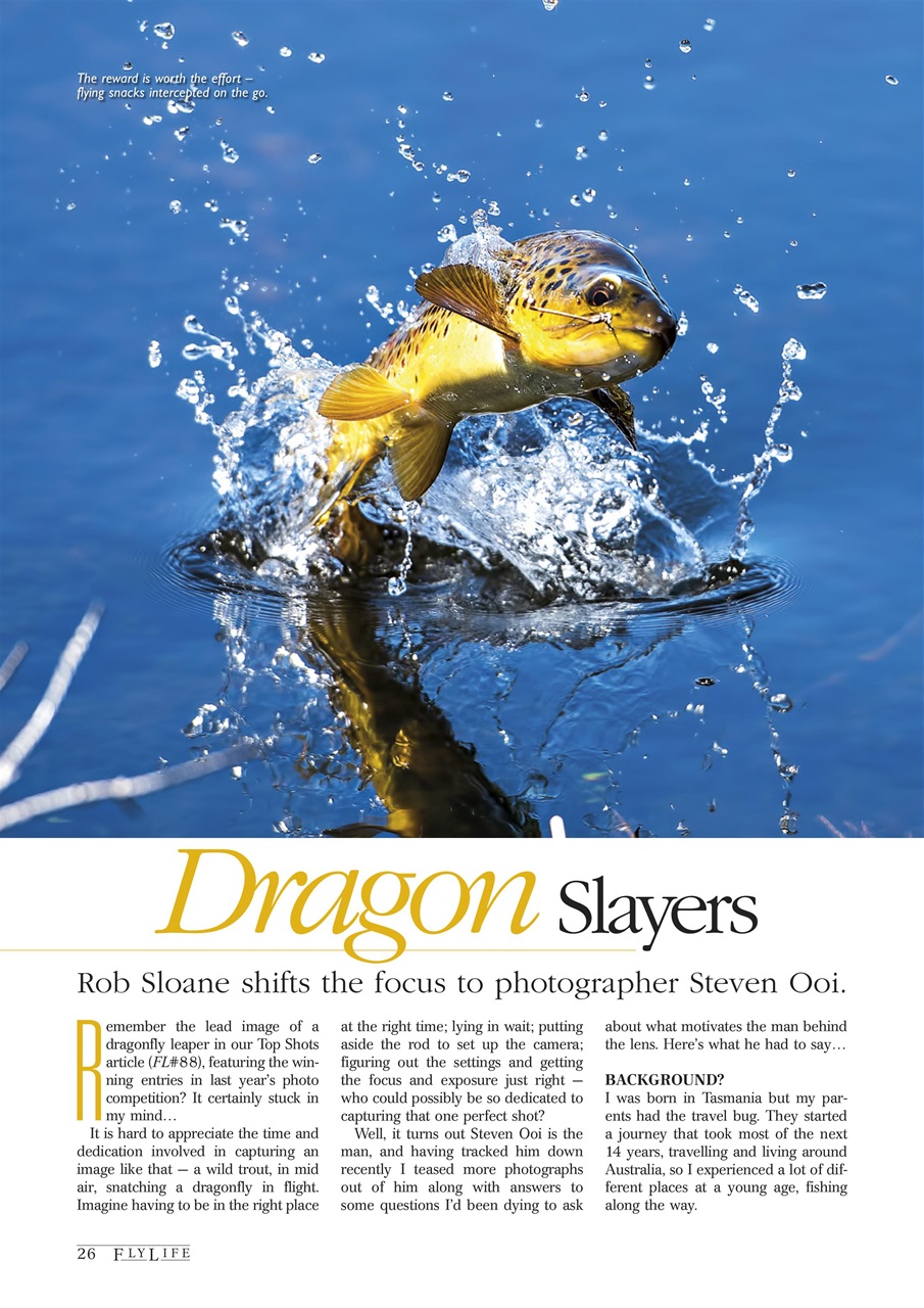 FlyLife Preview Pages