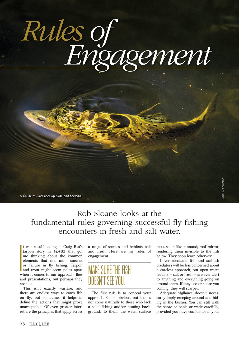 FlyLife Preview Pages