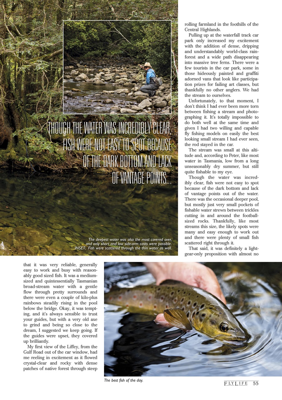 FlyLife Preview Pages