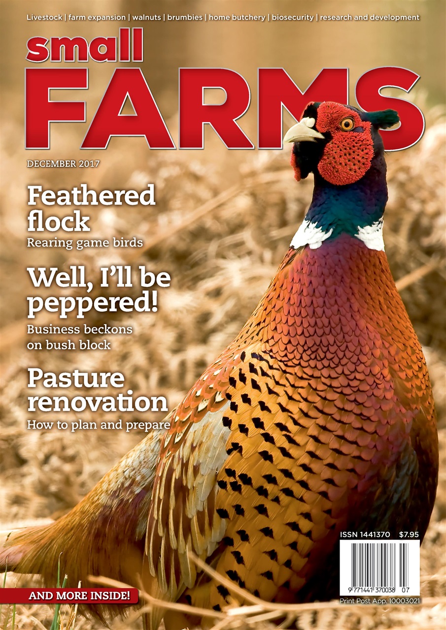 Small Farms Preview Pages