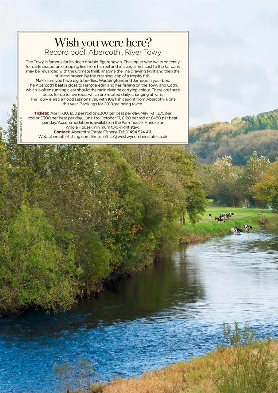 Trout & Salmon Preview Pages