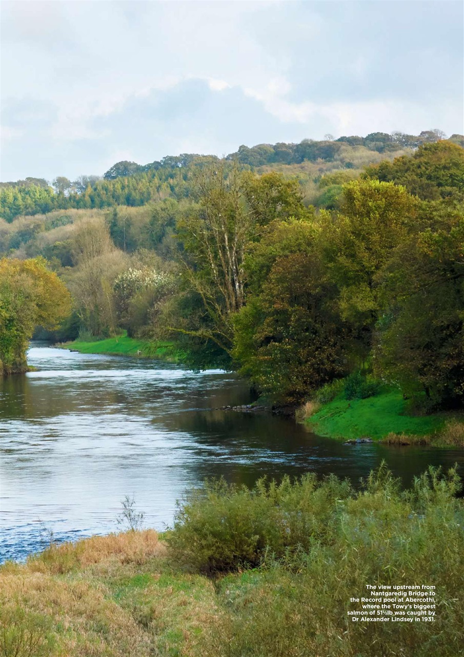 Trout & Salmon Preview Pages