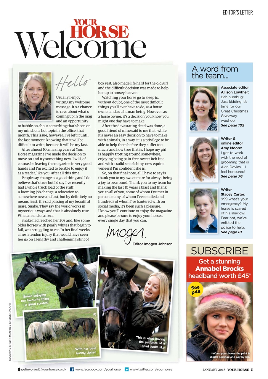 Your Horse Preview Pages