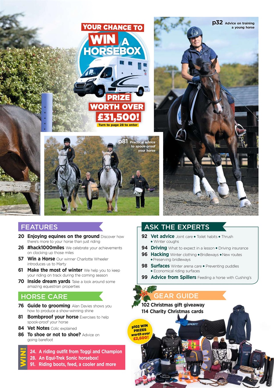 Your Horse Preview Pages