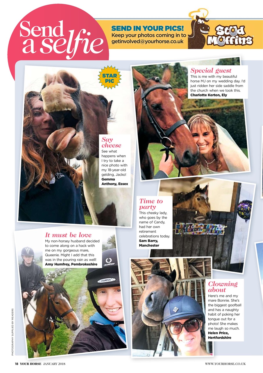 Your Horse Preview Pages