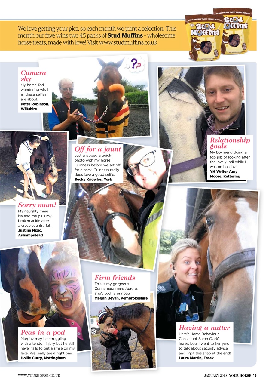 Your Horse Preview Pages