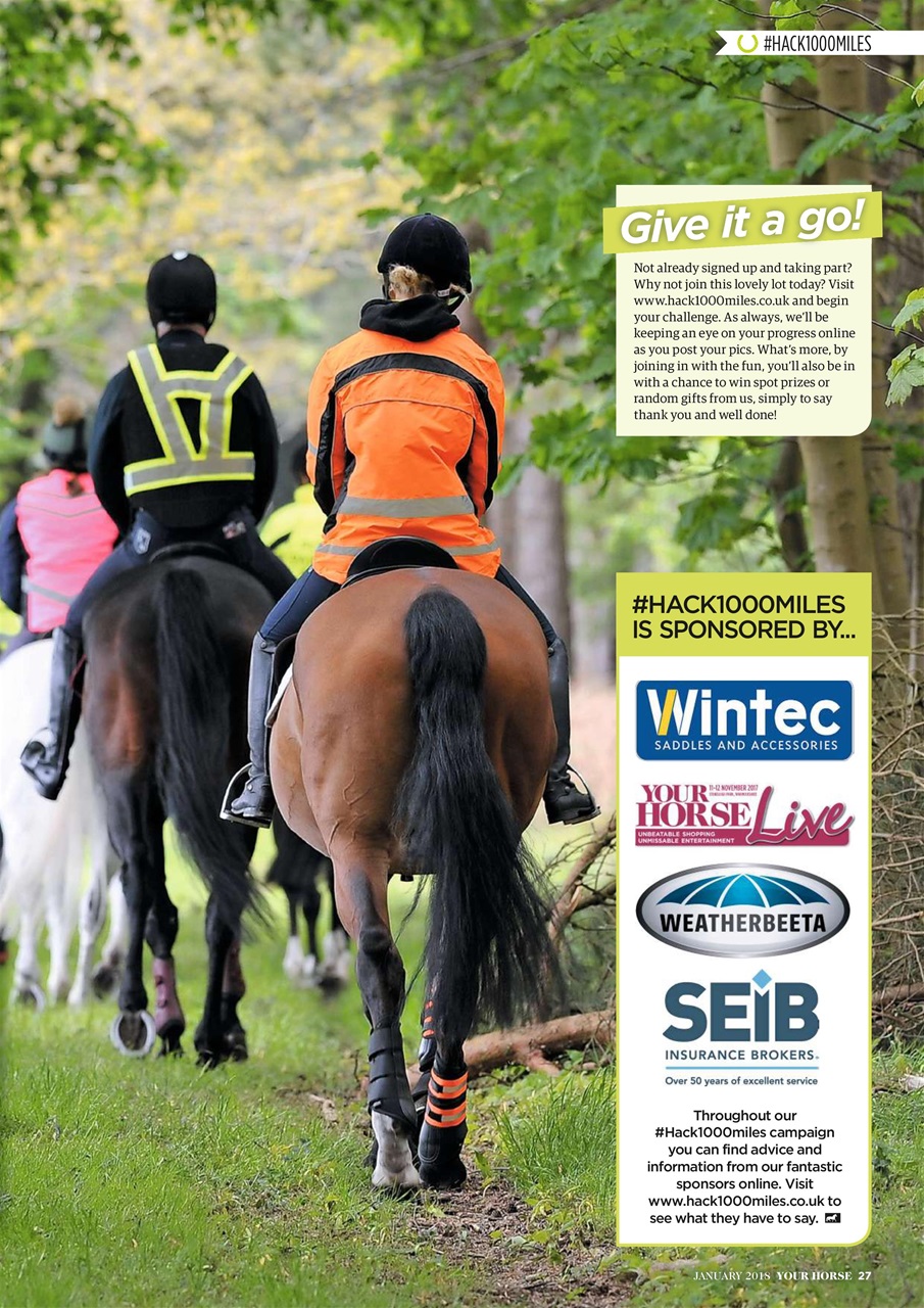 Your Horse Preview Pages